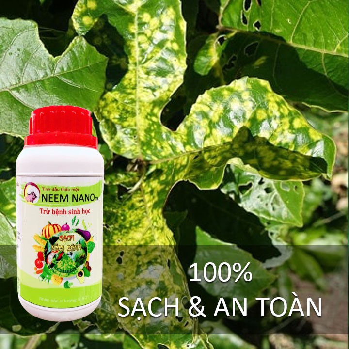 Trừ Nấm Bệnh hại cây trồng NEEM NANO. Khỏi lo Thán thư, Rỉ sắt, Đốm đen, Vàng lá, Phấn trắng Thối nhũn. 100% Thiên Nhiên