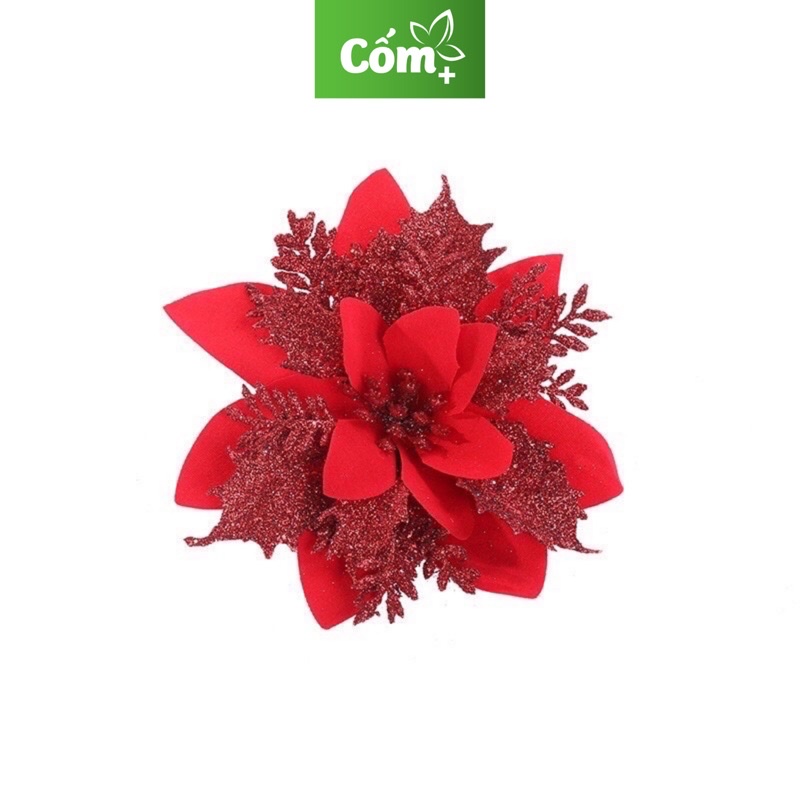 Sỉ Bông hoa trạng nguyên Trang trí noel,,làm oản,trang trí