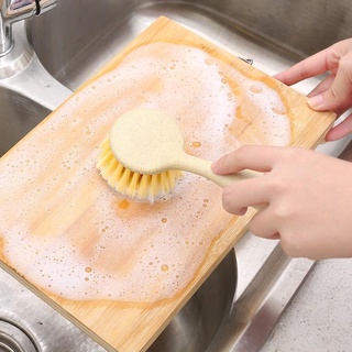 Cây rửa chén lúa mạch