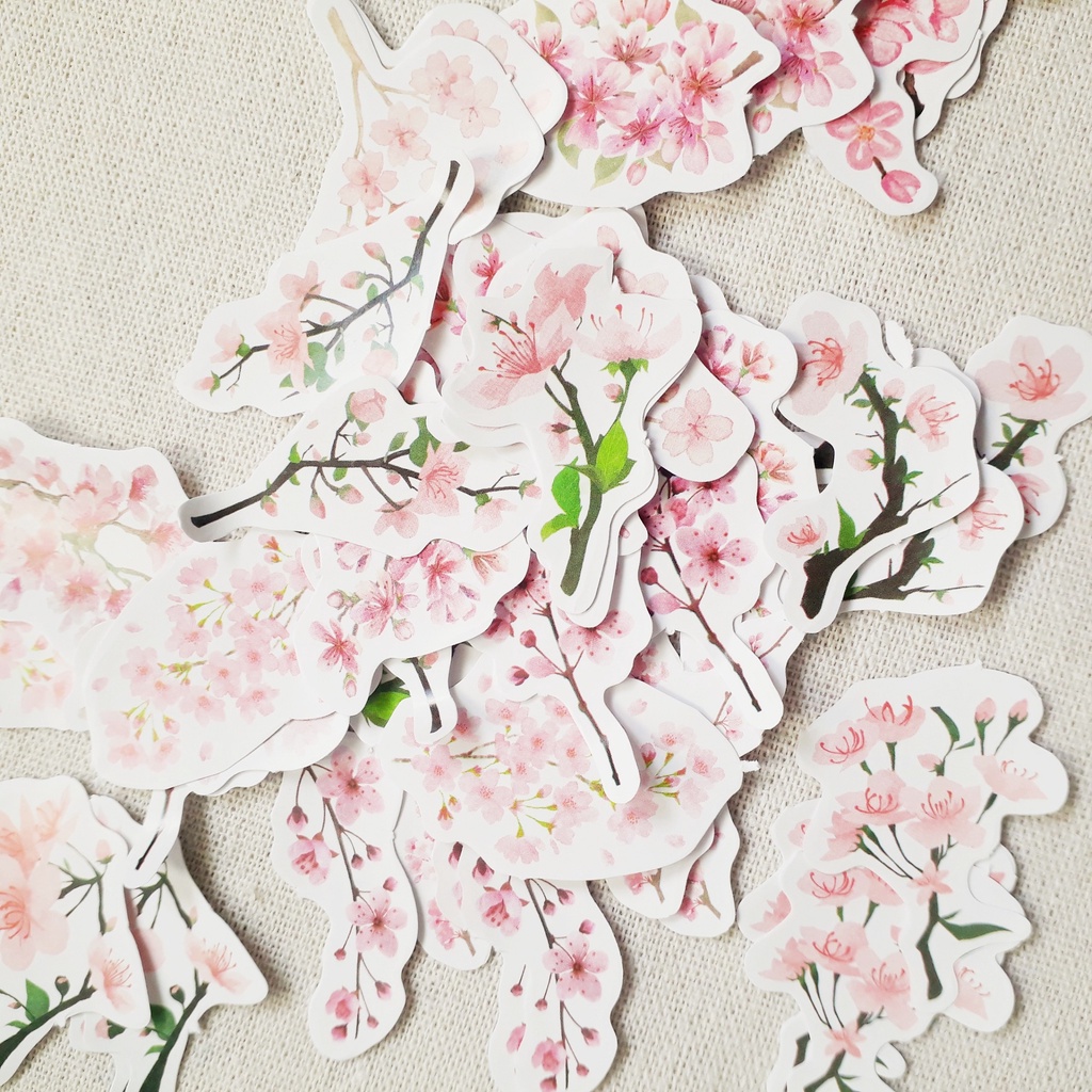 Hộp 45 miếng sticker mẫu cành hoa anh đào