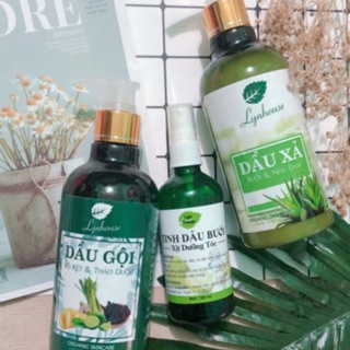 Combo dầu gội dầu xả xịt bưởi