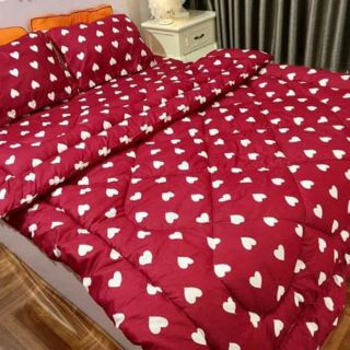 Set chăn phao ga gối poly cotton