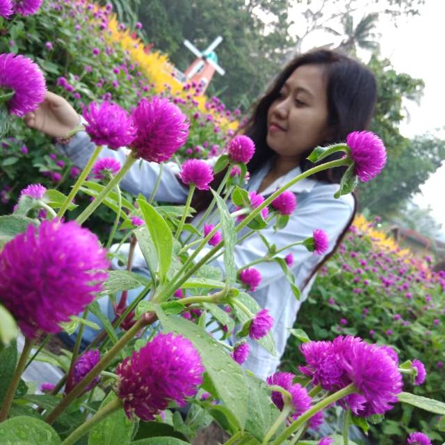 azis_fardyansyah.vn