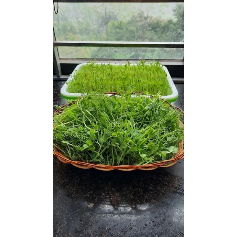 Đậu Hà Lan Xanh Khô 1kg - Đậu Hà Lan NK Mỹ