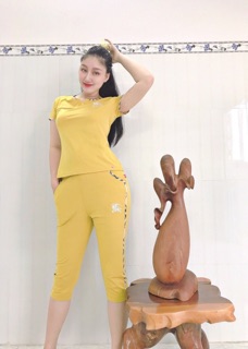 đồ bộ nữ vp
