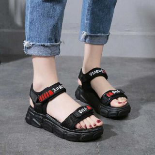 Combo shopee live 205k