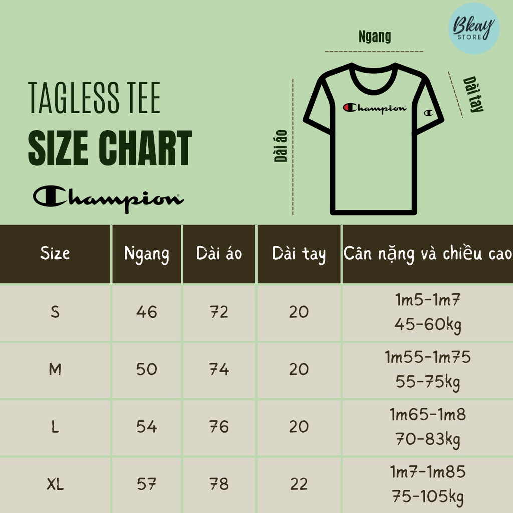 Áo thun Champion Retro Colorblock- 100% Authentic