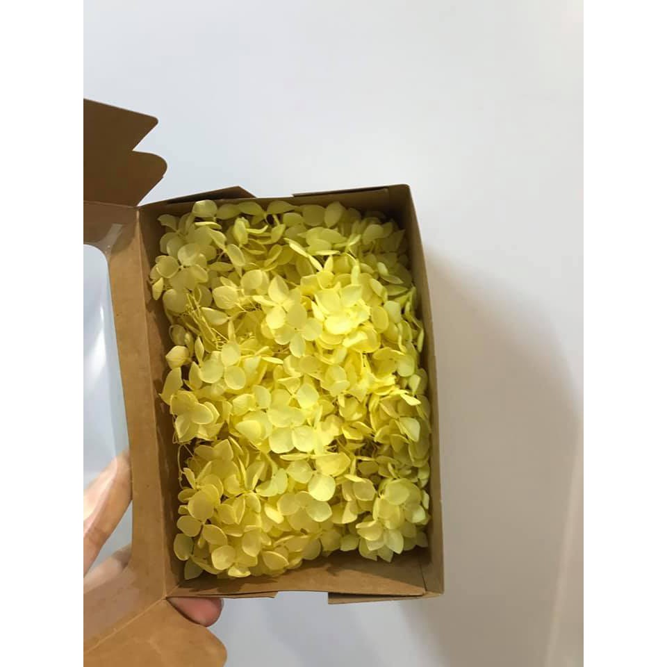 Hoa tú cầu khô về nhiều màu giá chỉ 90k