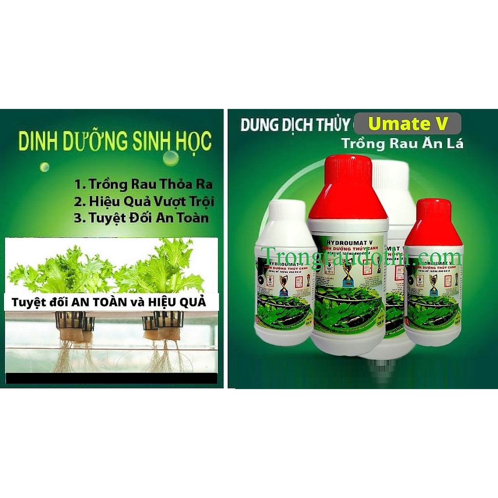 Bộ 2 Chai Dung Dịch Dinh Dưỡng Thủy Canh Cho Rau Ăn Lá Hydro Umat V -KLT 1 Lít