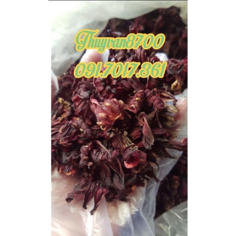 100gr Hoa Khô Atiso, Dâm bục - Hàng có sẵn