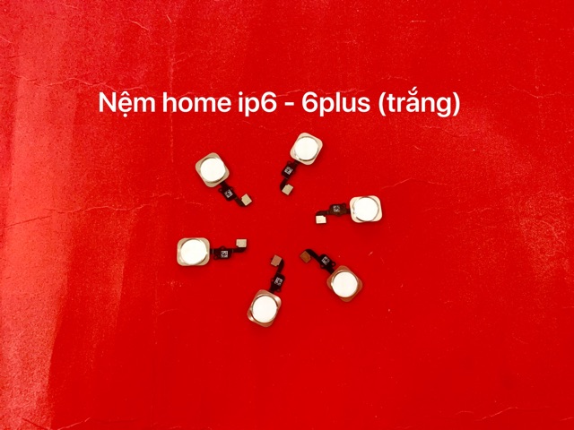 Nệm home 6g = 6plus bộ