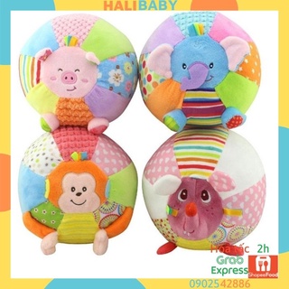 Bóng vải lục lạc xúc xắc an toàn cho bé luyện vận động HALIBABY B10
