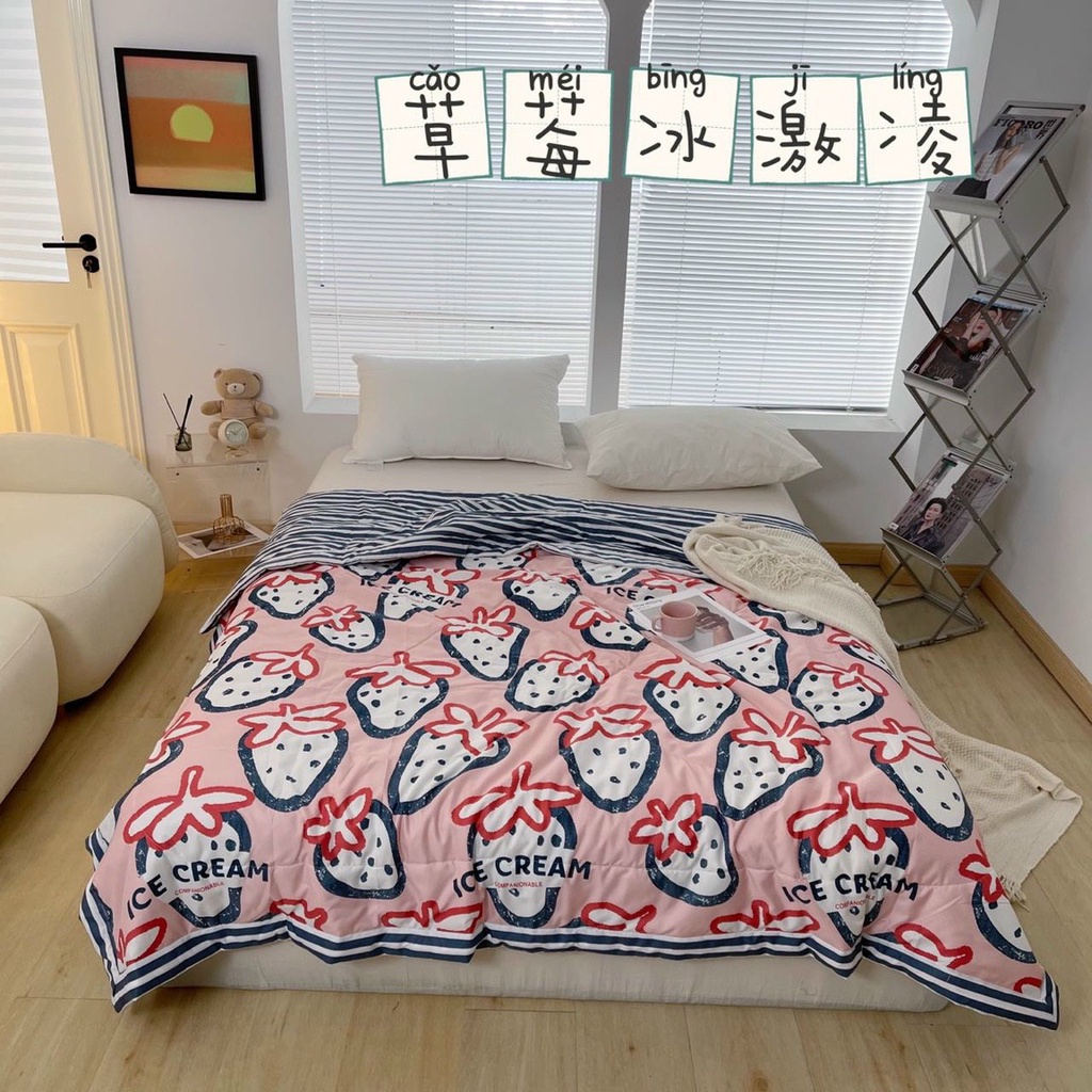 Chăn đũi hè mát kèm túi đựng cao cấp 2mx2m2  chuyên sỉ chăn ga gối