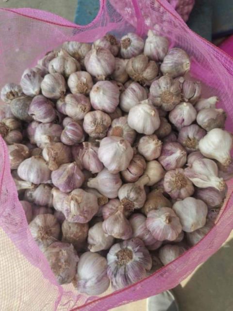 Tỏi tím 1kg