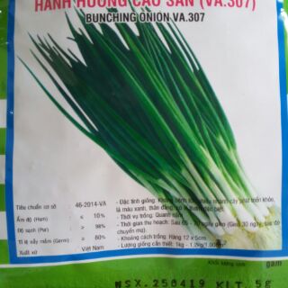 Combo 100k 10 gói hạt rau các loại