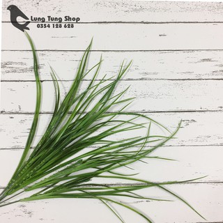 Phụ kiện chụp hình sản phẩm - cỏ dài