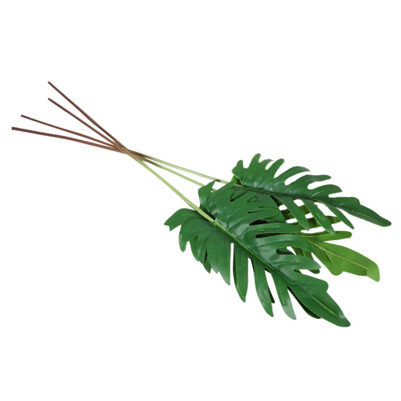 Set 4 Lá Cọ Nhiệt Đới Dùng Để Trang Trí Tiệc
