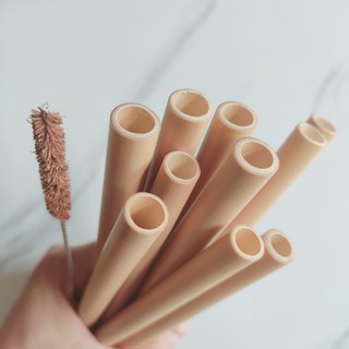 Ống hút tre tặng cọ xơ dừa ( 1 ống hút tre và 1 cọ)