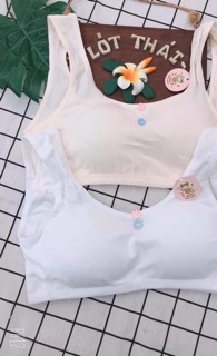 Set 3 áo lót học sinh chỉ 69k