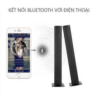 Loa tivi BSK-30 cao cấp