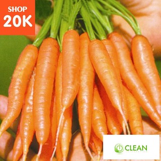 Hạt giống Cà rốt tí hon