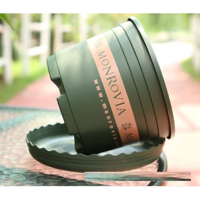Chậu Monrovia Size 1,5 (Chậu + Đĩa lót) - Chậu nhựa trồng cây chuyên dùng trồng Hoa Hồng và các loại hoa kiểng