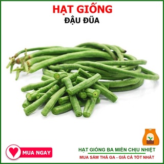 Hạt Giống Đậu Đũa Rạng Đông 20gram