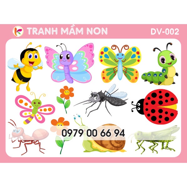 Decal Mầm Non - ĐỘNG VẬT CÔN TRÙNG DV-002