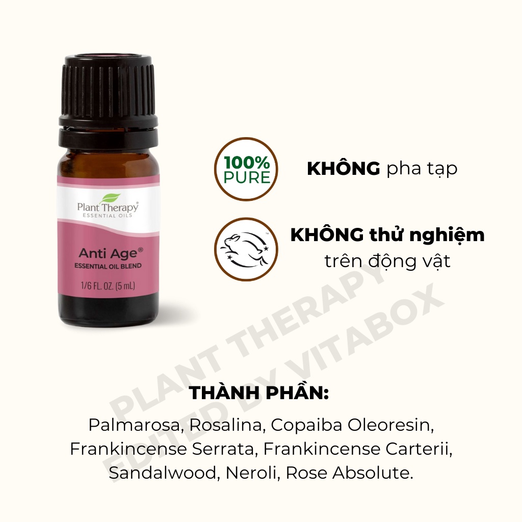 Plant Therapy - Tinh dầu dưỡng da Anti Age giúp chống lão hóa, mờ nếp nhăn - Essential oil blend synergy 5mL