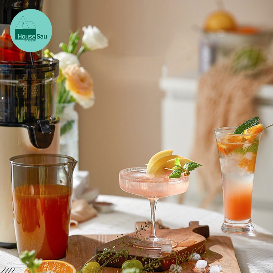 Máy ép hoa quả chậm, Máy ép trái cây cổ to BEAR YZJ-C02S5