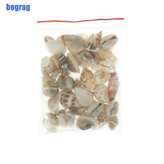 Vỏ Ốc Tự Nhiên Trang Trí Bể Cá