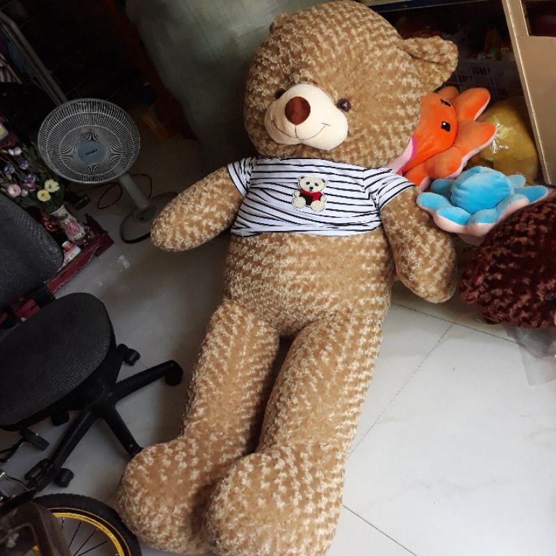 Gấu bông teddy khổ 2m ( nhiều màu)