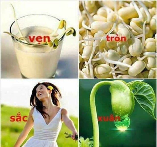 1 kg mầm đầu nành nguyên chất tăng vòng 1