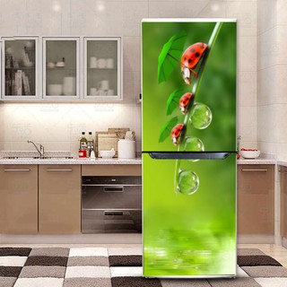 Decal trang trí tủ lạnh chống thấm cao cấp mẫu Bọ cánh cam