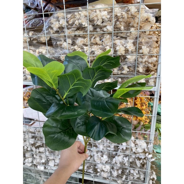 Cây Bàng Singapore 3 Nhánh 27 Lá, Cao 70cm, Decor Trí Nhà Cửa - Cây Giả.