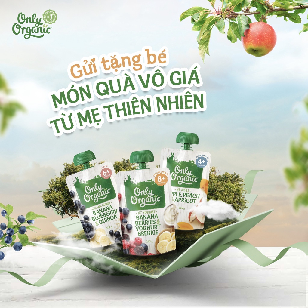 💦MUA 2 TẶNG 1💦  Trái cây nghiền ONLY ORGANIC túi 100g-120g hữu cơ cho bé