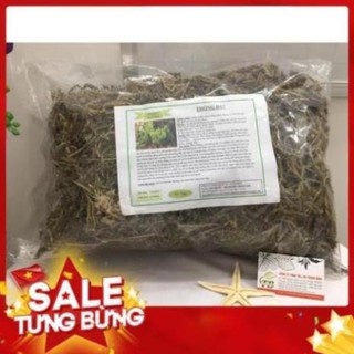 Cây thông đất 1kg - đông y thanh bình