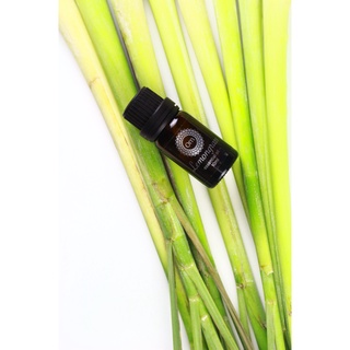 Tinh dầu Sả Java Citronella 10ml - Om Fountain