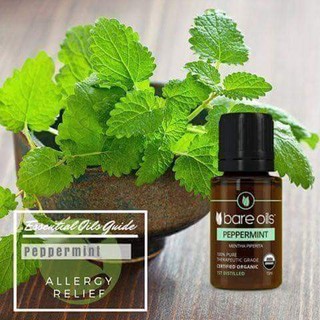 TINH DẦU BẠC HÀ PEPPERMINT
