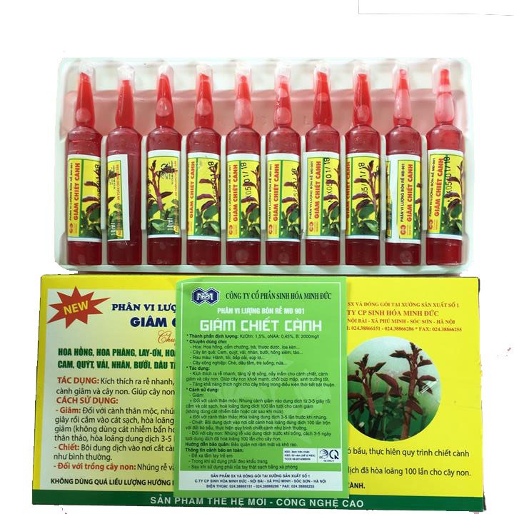 Hộp 10 ống Giâm chiết cành MD 901 siêu kích rễ Hoa Hồng, Hoa Giấy, Cúc, Thược Dược, Cây ăn quả