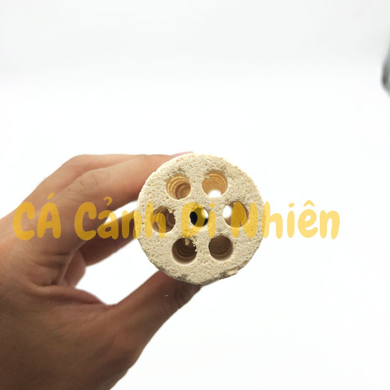 Sứ củ sen lọc vi sinh cao cấp Mountain Tree hình củ sen xoắn ốc cho hồ cá