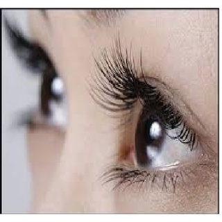 Mascara dầu dừa Bến Tre dưỡng mi