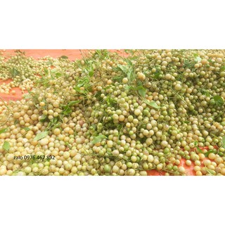 Quả mác mật khô gia vị vịt quay Lạng Sơn (500gram)
