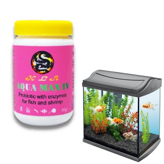 Men Tiêu Hóa Cho Cá Rông Aqua Max IV