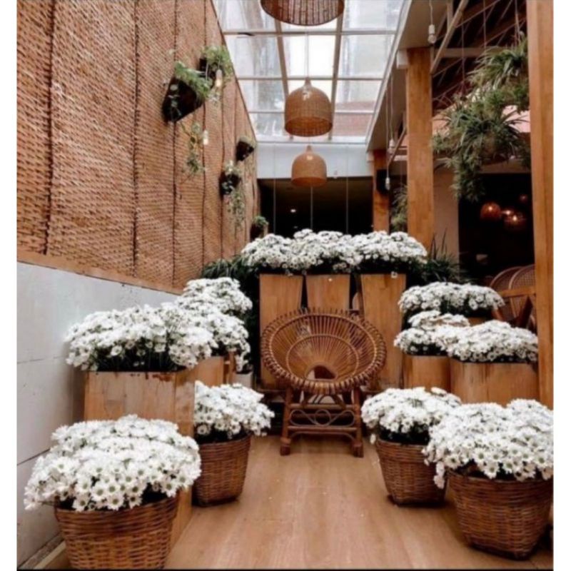 Hoa giả trang trí hoa giả decor cúc họa mi cụm lớn trang trí nhà cửa