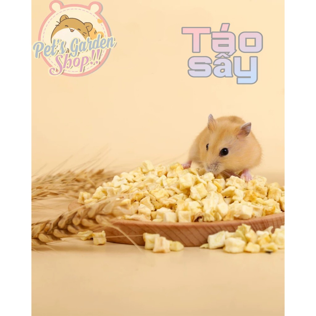 Táo sấy khô - Thức ăn hamster, thỏ, bọ, sóc