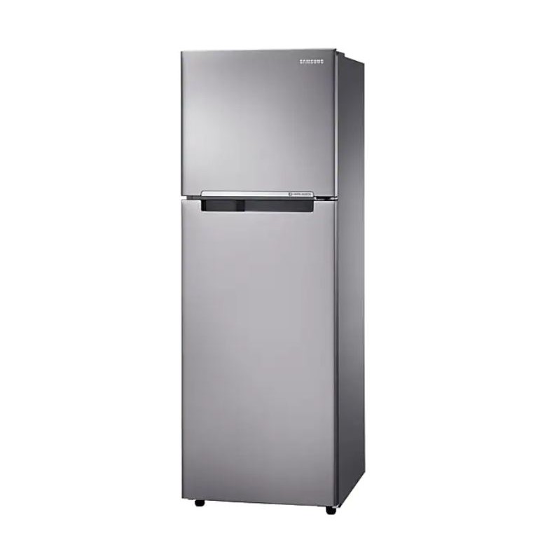 Tủ lạnh Samsung 255 lít 25HAR4DSA/SV