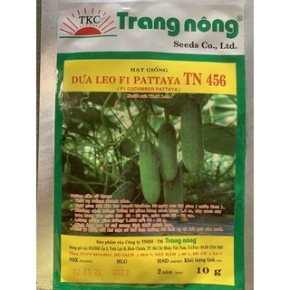 Hạt giống dưa leo lai f1 tn 456