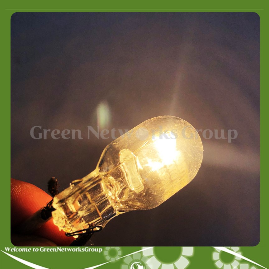 Đèn lùi ô tô chân T20 Halogen KOITO 12V 21W (1 Dây tóc) Greennetworks