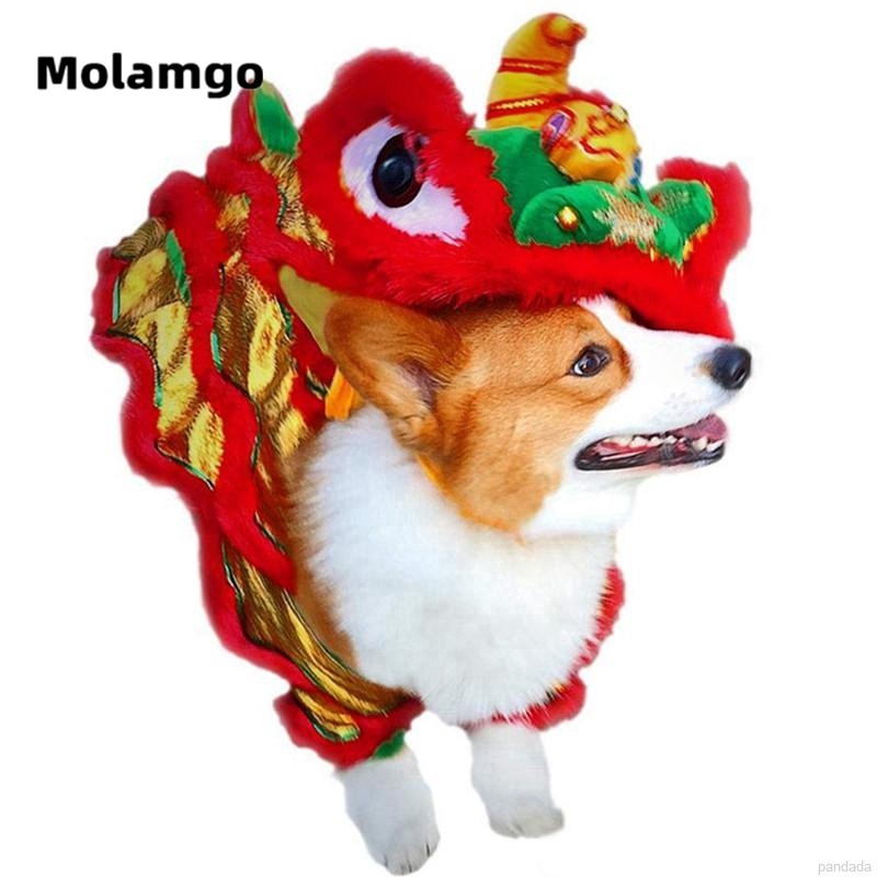 Trang phục biểu diễn MOLAMGO xinh xắn đáng yêu cho thú cưng